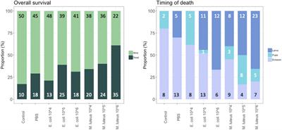 Physiological Tradeoffs of Immune Response Differs by Infection Type in Pieris napi